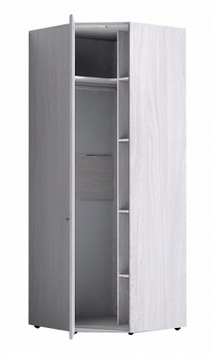 Шкаф для одежды угловой 56-2 Paola в Верхоянске - mebel154.com